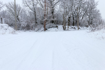 Forked rural snowy road