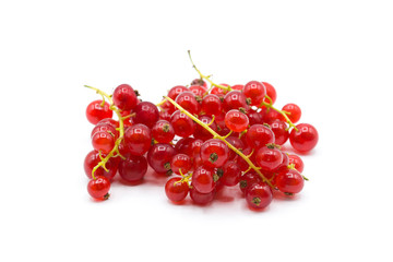 Sweet cranberries close up isolated on white background