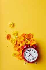 Red Vintage Alarm Clock And Marigold Blossom