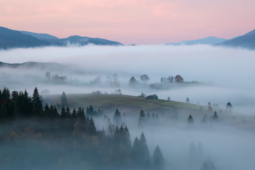 Obraz na płótnie Canvas Scenery of the sunrise at the high mountains. Dense fog with beautiful light. A place to relax in the Carpathian Park. Hoverla, Carpathians, Ukraine, Europe.
