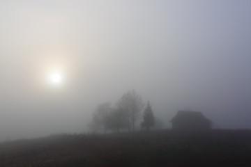 Old hut is on the lawn. The scenery with thick fog, trees, sun. Nice cold autumn morning. Location Carpathians, Ukraine, Europe.