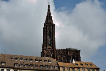 Münster Cathedral // Dom