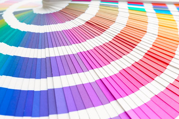 color palette. colour chart used for the graphic design work or interior design