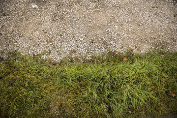 stone floor grounge from above with grass
