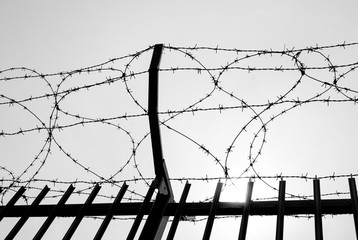 Barbed wire in a military area