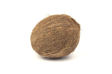 Coconut on white background