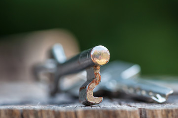 Close-up of a key on a log