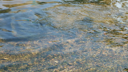 愛知 天白川 水面 川  夏 日中 水辺