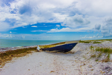 Abandoned Boat on the Beach