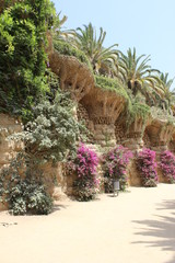 Beautiful Garden View