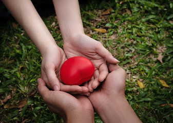 The human hands sending small red heart together,sign and symbol of power,love and care,teamwork,unity,the collaborator concept