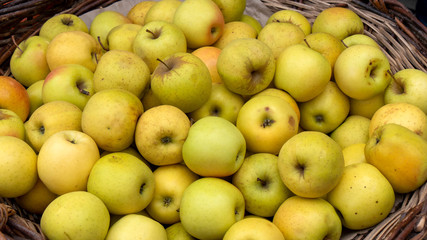 pile of golden apples on the market