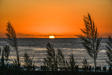 Fototapeta na wymiar Sunset or Sunrise Ocean scenic view 