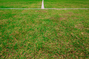 Green soccer field and white line,Background and texture