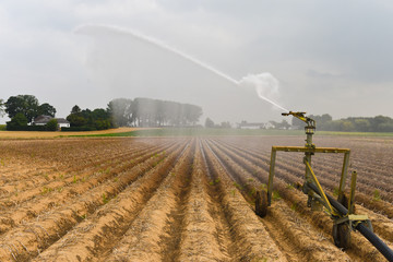 arrosage eau secheresse agriculture 2018 été