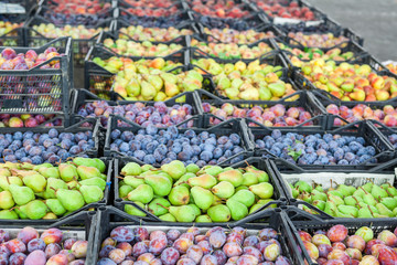 Market stall with variety of organic vegetable