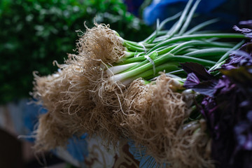 Bunches of green onions on display at a farmers' market