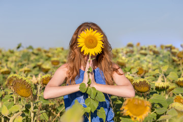 Sunflower namaste, yoga concept