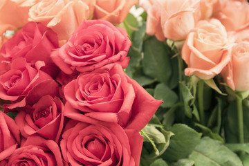 Red and pale orange roses bouquet close up