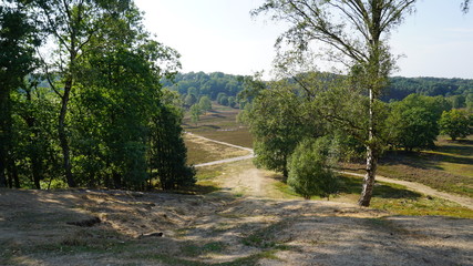Weg  durch die Heide | Fischbeker Heide in Hamburg
