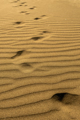 ślady stóp na pustyni