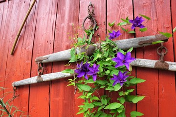 Garten arbeitsgeräte an einer Wand hängend