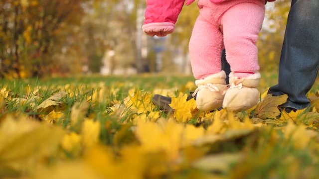 Dad holds small daughter in her arms and teaches you to walk along golden autumn maple leaves on road in park.