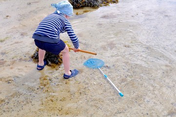Un petit garçon qui pêche des crabes à marée basse en Bretagne