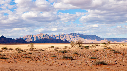 Fototapeta premium Beautiful landscape of Namibia