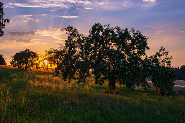 traumhafter Sonnenuntergang im Sommer