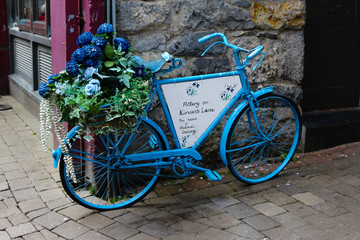 Fototapeta na wymiar Bike with plant against wall in Ireland