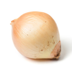 One rotten onion