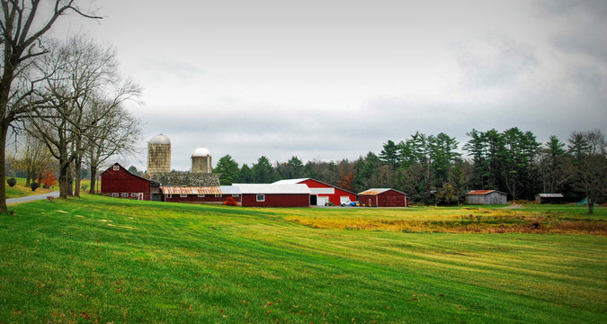 Green Fields of Autumn / Farmland in upstate New York in Autumn