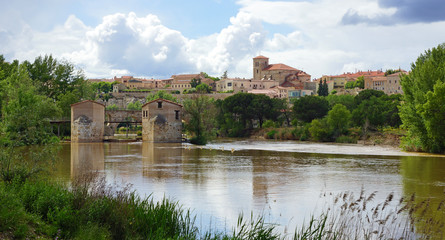 Zamora