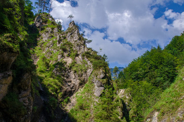 Fototapeta na wymiar Almbachklamm Berchtesgaden