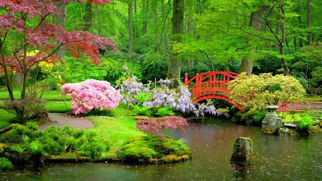 Japanese garden