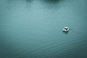 A water bike in the lake
