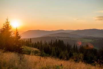 landscape mountains in europe, nature carpathian in the evening in summer