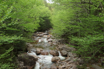 Waterfall at the Flume Gorge in Franconia Notch State Park, New Hampshire, United States