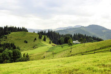 Fototapeta na wymiar Carpathians landscape