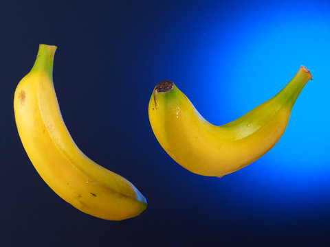 BANANA – PLATANO
Bananas suspended in the air. Blue gradient background.