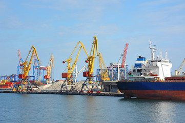 Bulk cargo ship under port crane