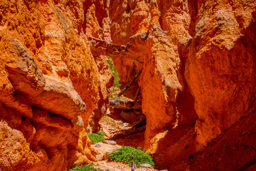 Beautiful outdoor view between red rocky mountains at Utah USA