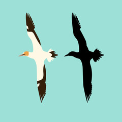 northern gannet bird vector illustration flat style silhouette