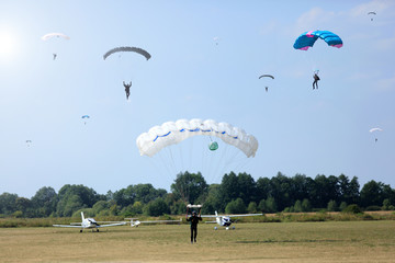 Spadochroniarze lądują na płycie lotniska aeroklubu, samoloty w tle. © Stanisław Błachowicz