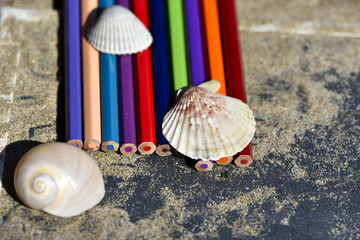 Crayons de couleurs et coquillages