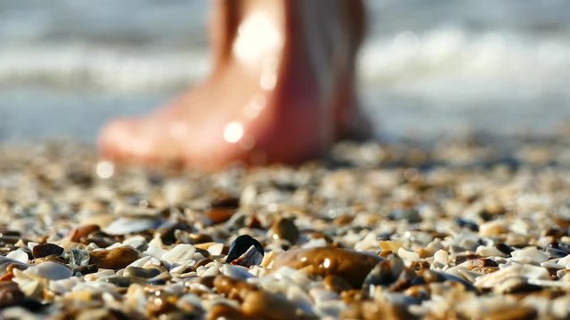 Beautiful beach with small seashells. A girl is barefooted walking along the beach in the sea.