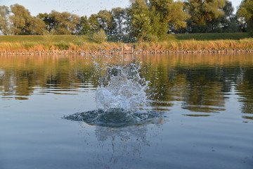 Donau Land bei Neustadt