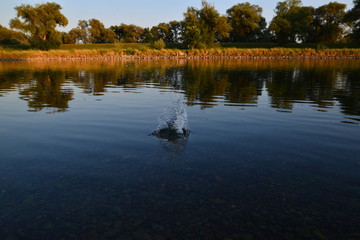 Donau Land bei Neustadt