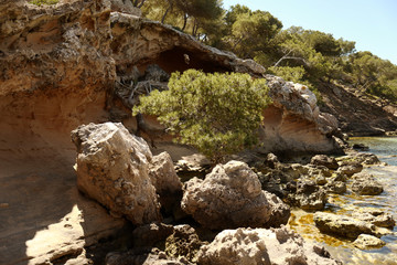Coastline beach on sunny day